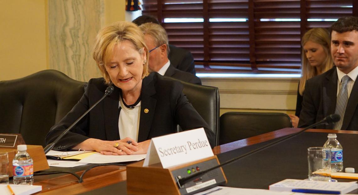 Senator Hyde-Smith participates in a Senate Agriculture Committee hearing on "The State of Rural America."